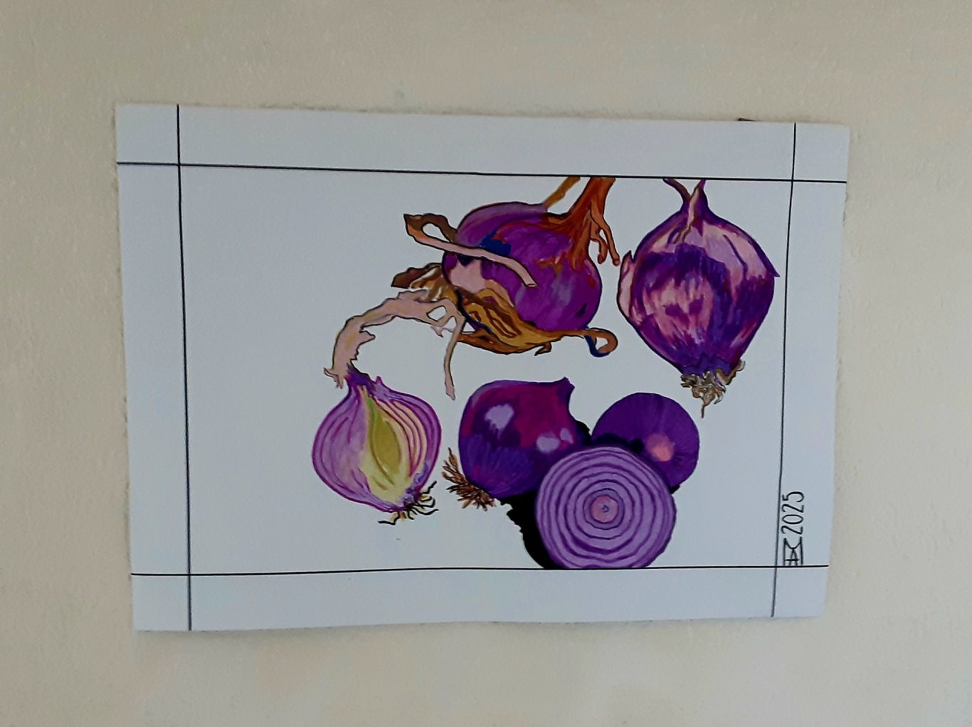 Rote zwiebel aus Tropea