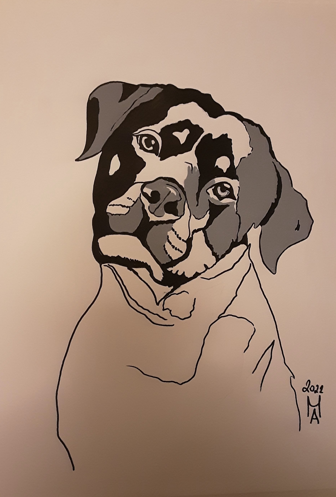 Il mastino Napoletano