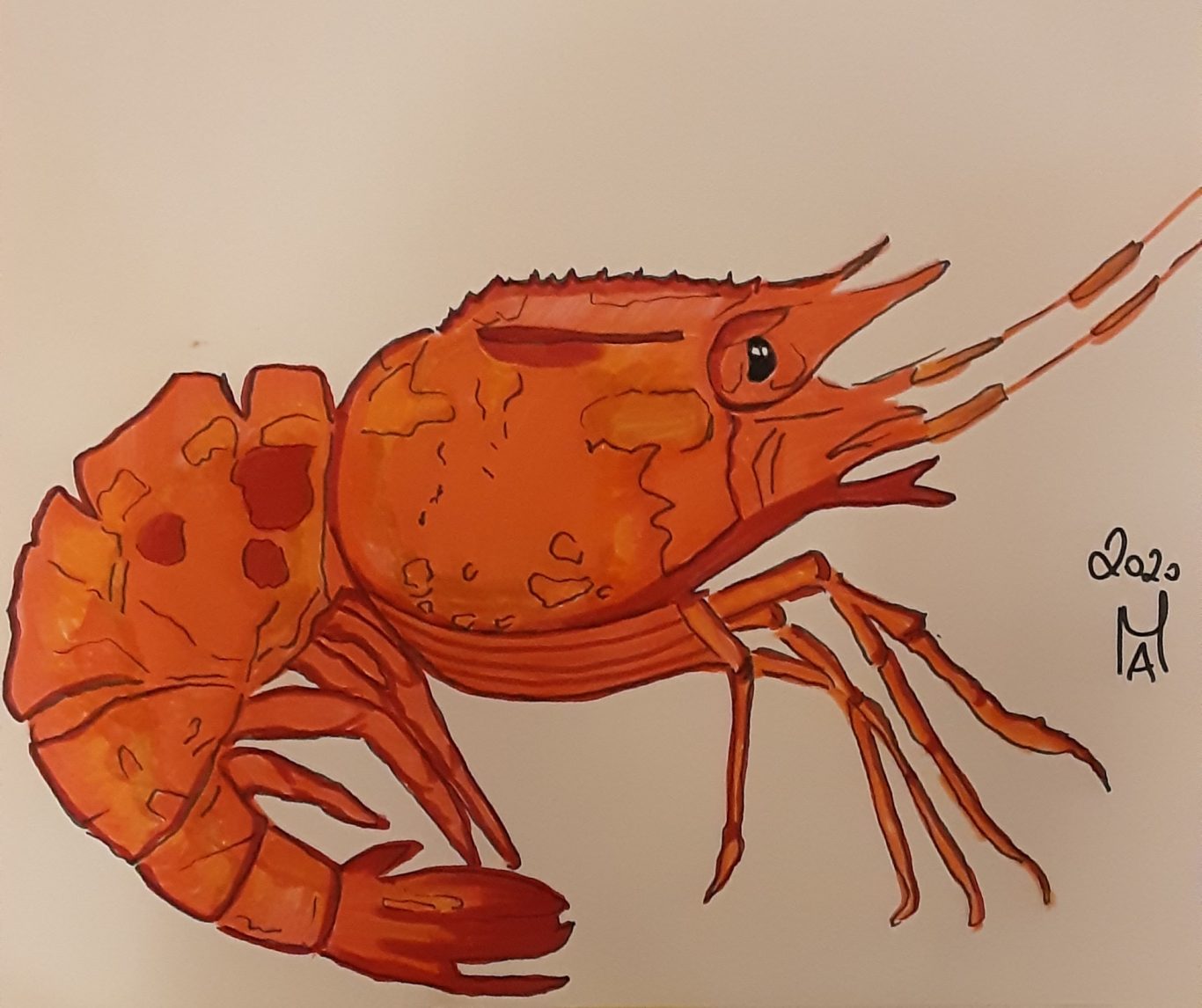 Il Gambero , Carabiniere rosso