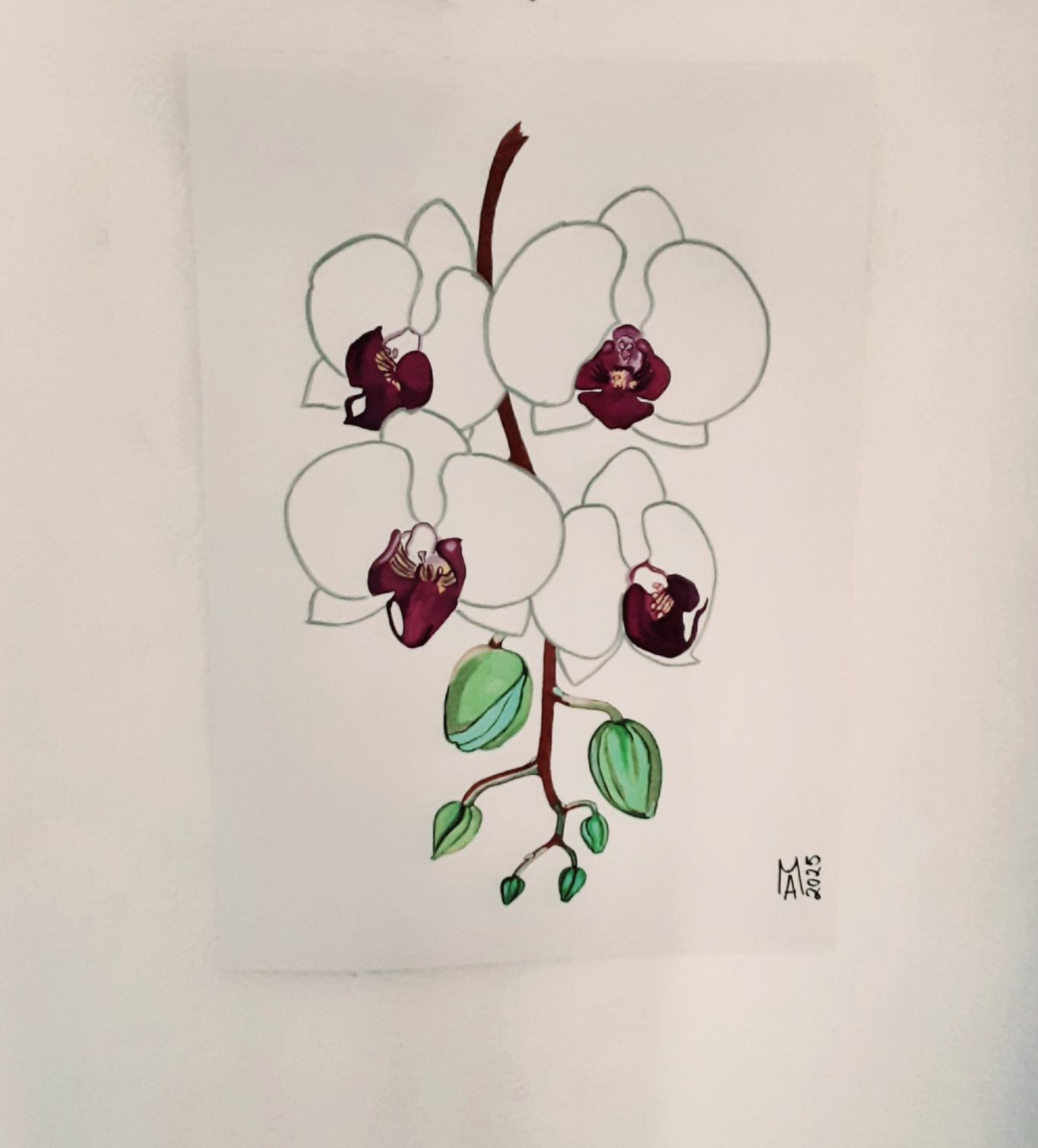 eINE RISPE ZARTE ORKIDEE