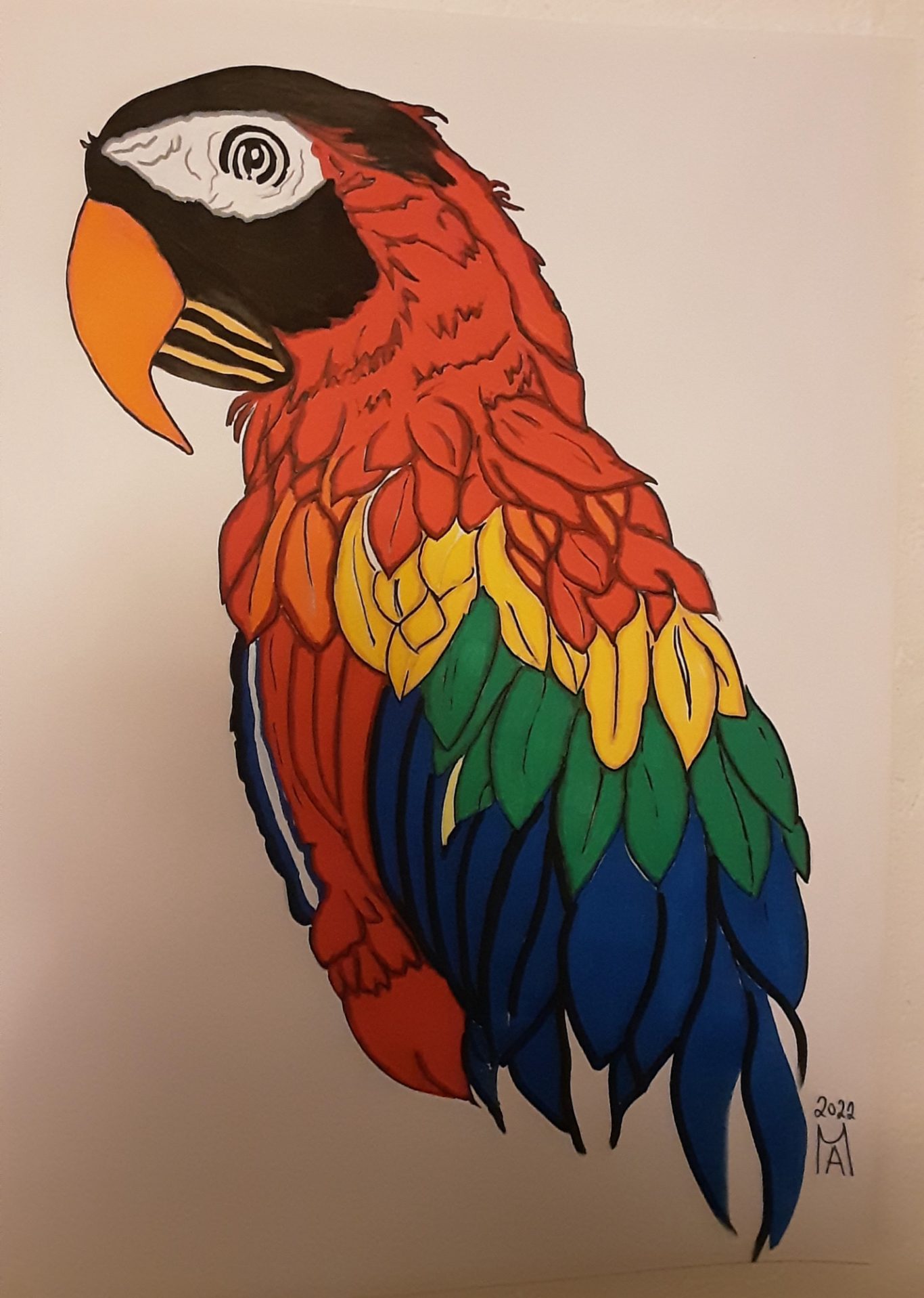 Der Brasilianische Pappagei